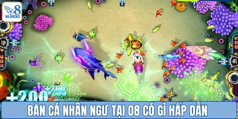 Bắn cá nhân ngư tại O8 có gì hấp dẫn