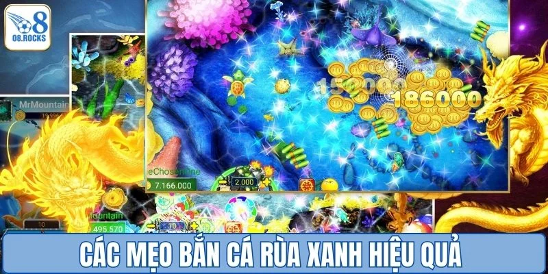 Các mẹo bắn cá rùa xanh hiệu quả