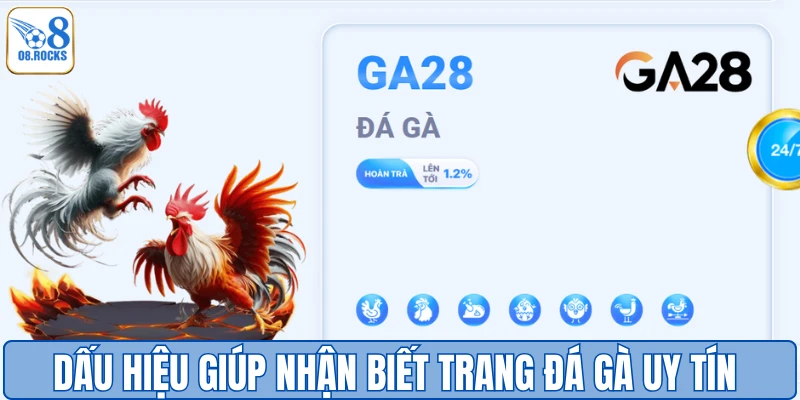 Dấu hiệu giúp nhận biết trang đá gà uy tín