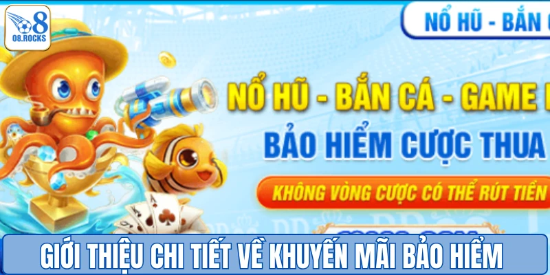 Giới thiệu chi tiết về khuyến mãi bảo hiểm