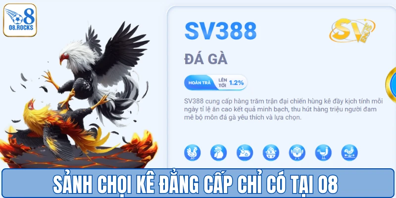 Sảnh chọi kê đẳng cấp chỉ có tại O8